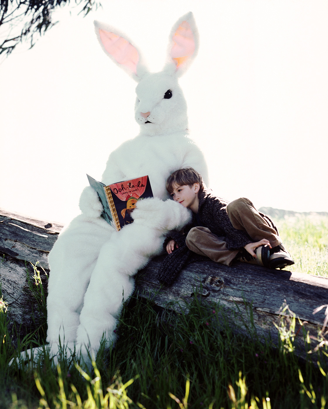 Luca Zordan Photography