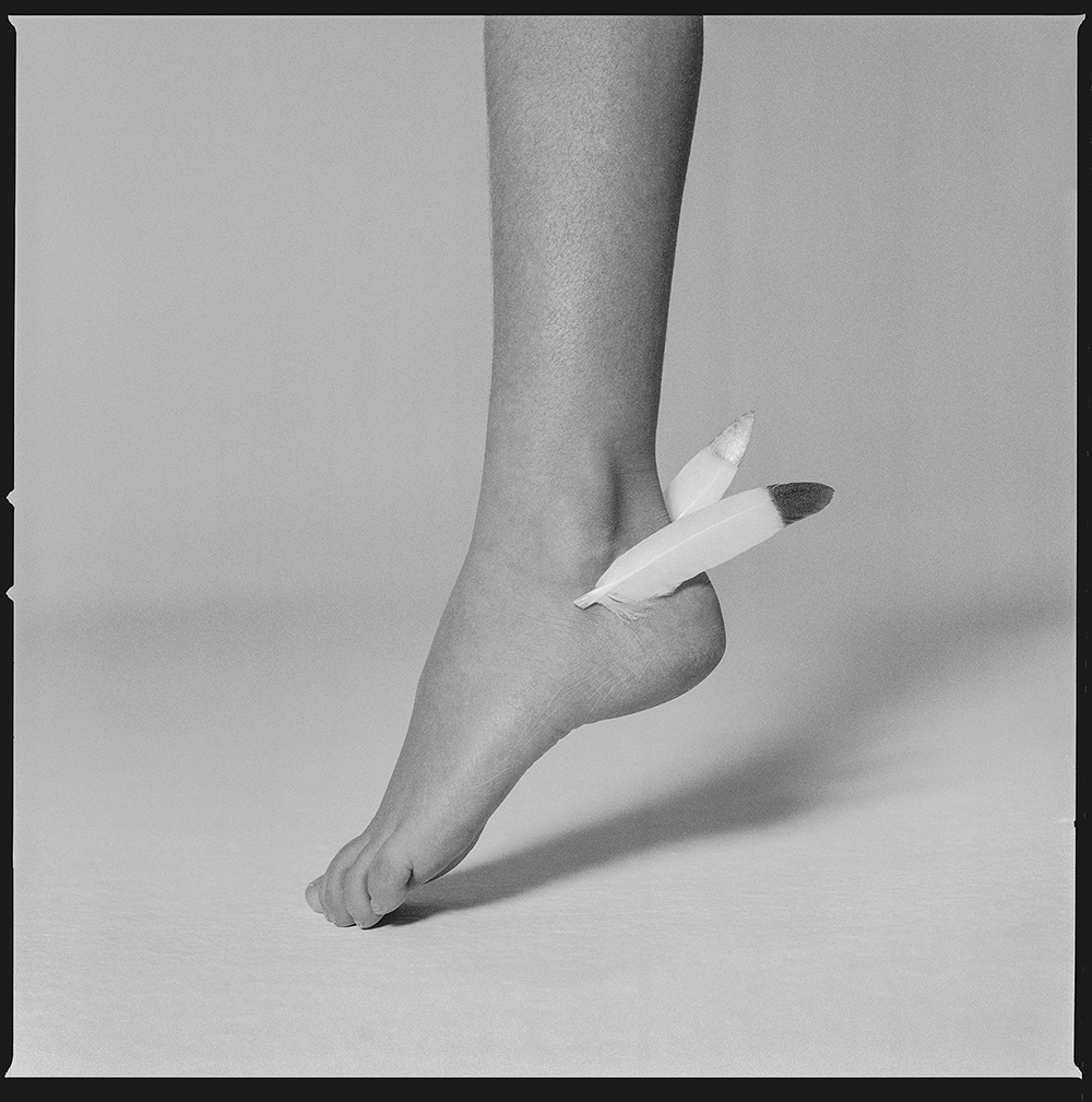 Luca Zordan Photography