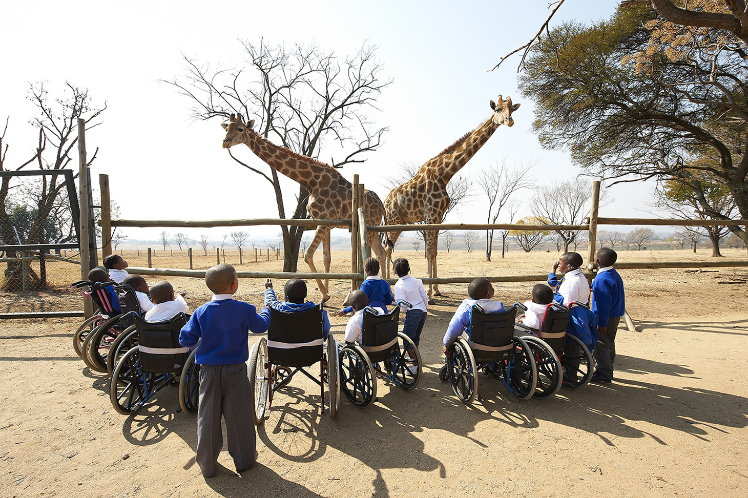 Luca Zordan Photography